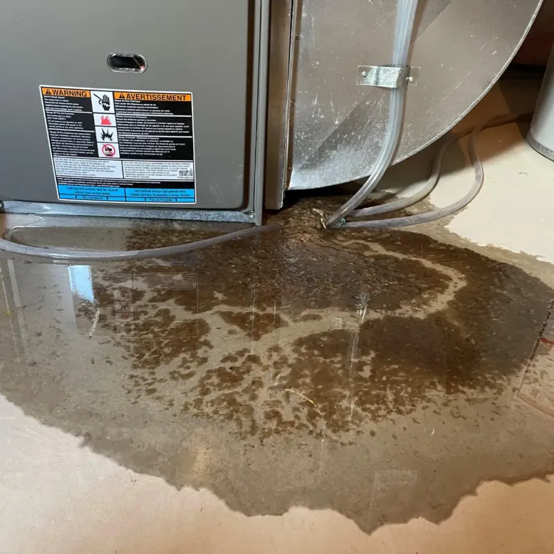 Appliance Leak Cleanup in Dallas, GA