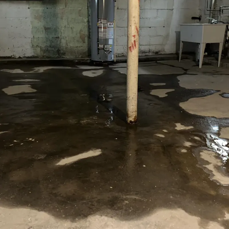 Emergency Water Extraction And Removal in Dallas, GA